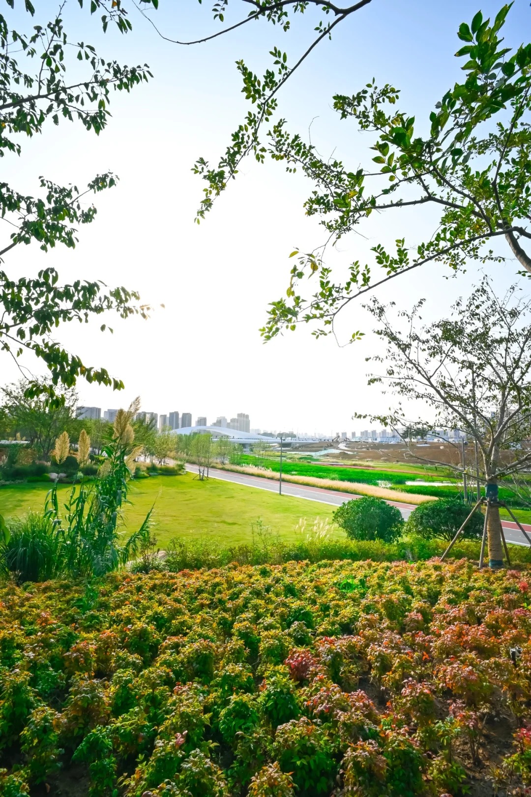 青島張村河生態(tài)公園 | 置身自然秘境，做綠色童年的探尋者